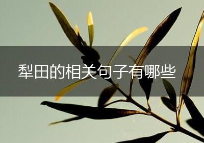 犁田的相关句子有哪些