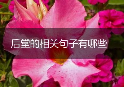 后堂的相关句子有哪些