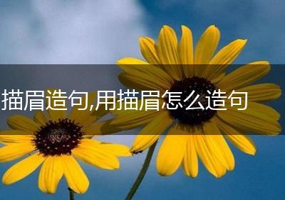 描眉造句,用描眉怎么造句