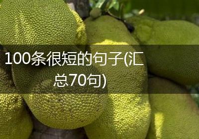 100条很短的句子(汇总70句)
