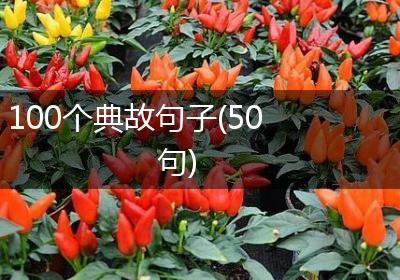 100个典故句子(50句)