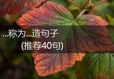 ...称为...造句子(推荐40句)