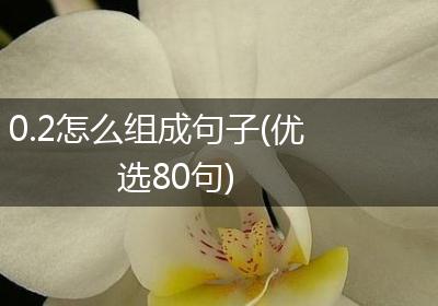 0.2怎么组成句子(优选80句)
