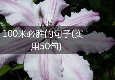 100米必胜的句子(实用50句)