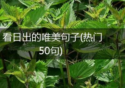 看日出的唯美句子(热门50句)