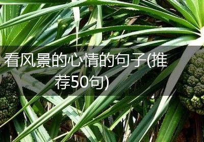 看风景的心情的句子(推荐50句)