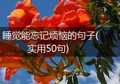 睡觉能忘记烦恼的句子(实用50句)