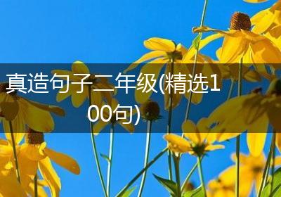 真造句子二年级(精选100句)