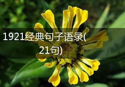 1921经典句子语录(21句)