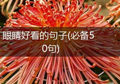 眼睛好看的句子(必备50句)