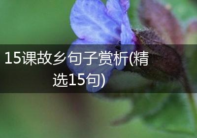 15课故乡句子赏析(精选15句)