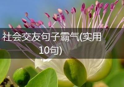 社会交友句子霸气(实用10句)