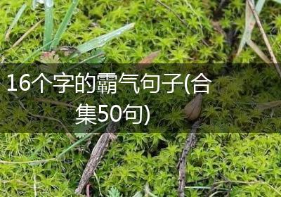 16个字的霸气句子(合集50句)
