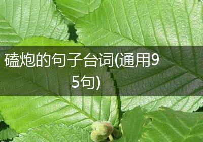 磕炮的句子台词(通用95句)
