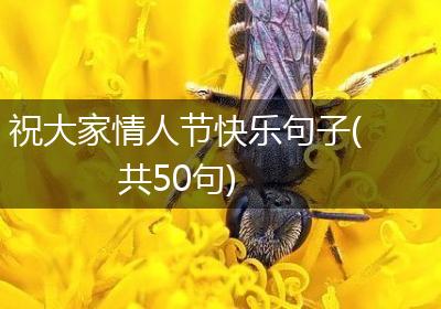 祝大家情人节快乐句子(共50句)