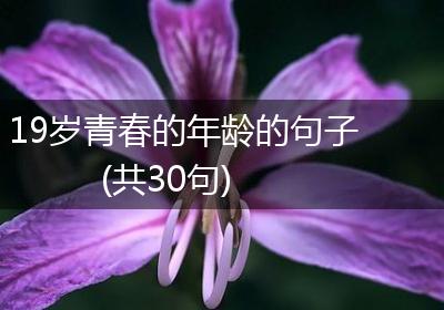 19岁青春的年龄的句子(共30句)