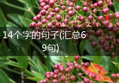 14个字的句子(汇总69句)