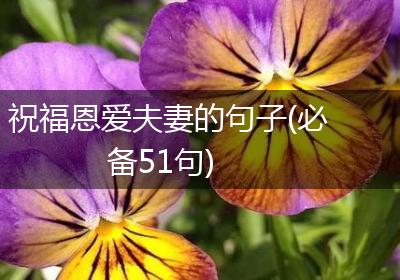 祝福恩爱夫妻的句子(必备51句)