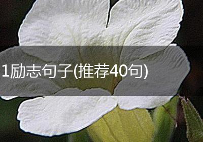 1励志句子(推荐40句)