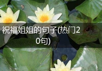 祝福姐姐的句子(热门20句)