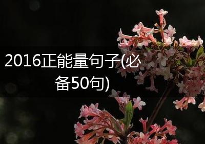 2016正能量句子(必备50句)