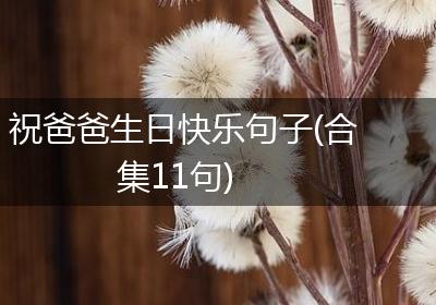 祝爸爸生日快乐句子(合集11句)
