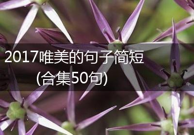 2017唯美的句子简短(合集50句)