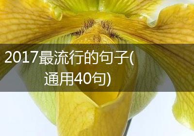 2017最流行的句子(通用40句)