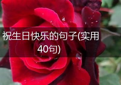 祝生日快乐的句子(实用40句)