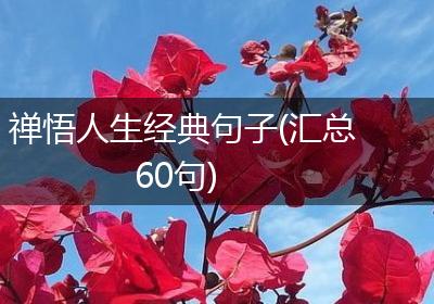 禅悟人生经典句子(汇总60句)