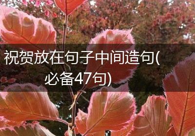 祝贺放在句子中间造句(必备47句)