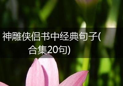神雕侠侣书中经典句子(合集20句)
