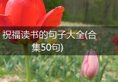 祝福读书的句子大全(合集50句)