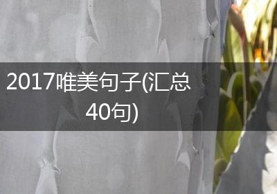 2017唯美句子(汇总40句)