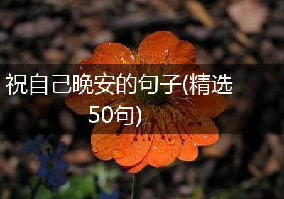 祝自己晚安的句子(精选50句)