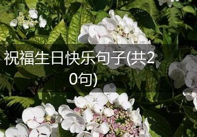 祝福生日快乐句子(共20句)