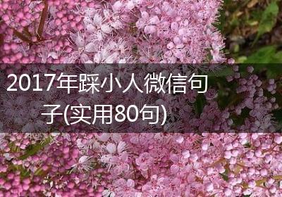 2017年踩小人微信句子(实用80句)