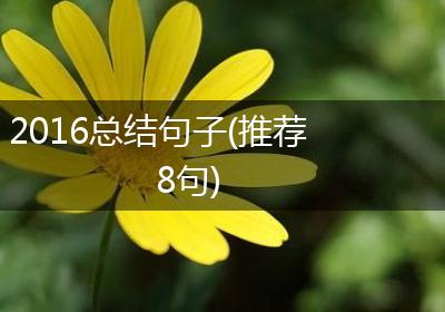 2016总结句子(推荐8句)
