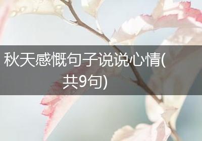 秋天感慨句子说说心情(共9句)