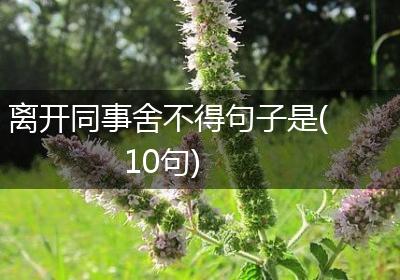 离开同事舍不得句子是(10句)