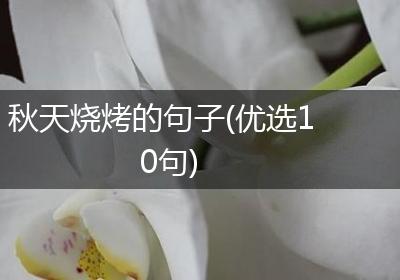 秋天烧烤的句子(优选10句)