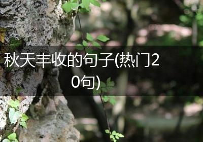 秋天丰收的句子(热门20句)