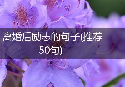 离婚后励志的句子(推荐50句)