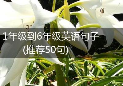 1年级到6年级英语句子(推荐50句)