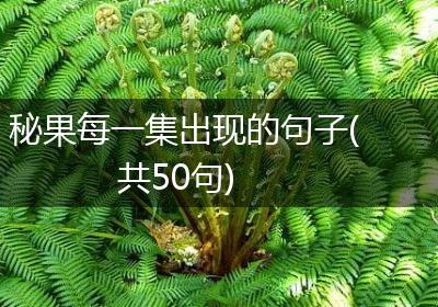 秘果每一集出现的句子(共50句)