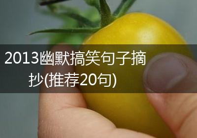 2013幽默搞笑句子摘抄(推荐20句)