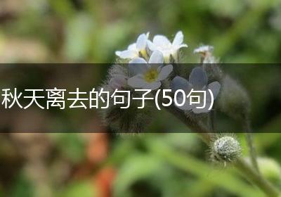 秋天离去的句子(50句)