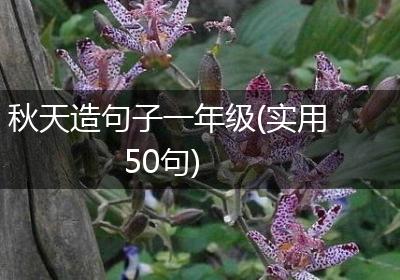 秋天造句子一年级(实用50句)