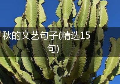 秋的文艺句子(精选15句)