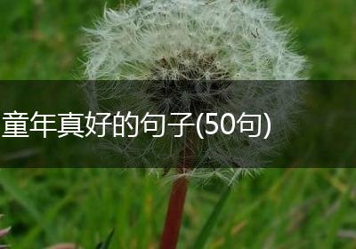童年真好的句子(50句)
